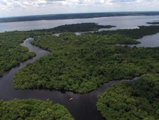 Amazonas Regenwald Brasilien