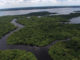 Amazonas Regenwald Brasilien