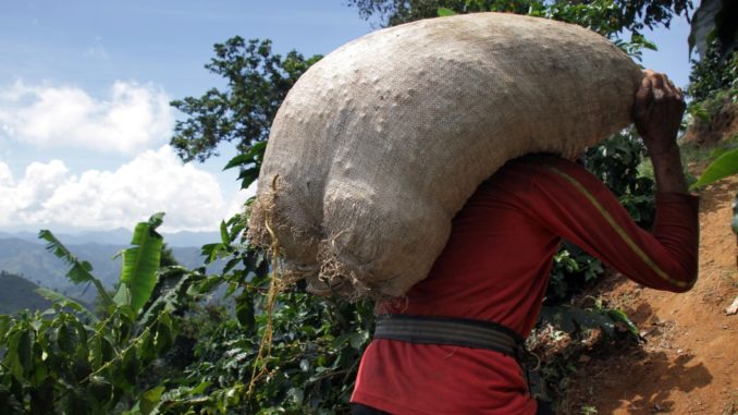 Kaffeearbeiter in Kolumbien